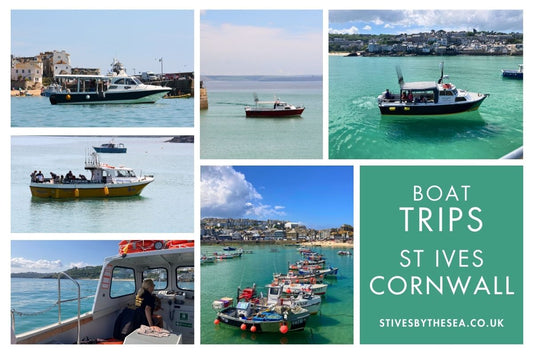 Boat Trips St Ives Cornwall