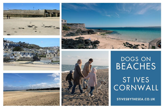 Dogs On Beaches St Ives Cornwall