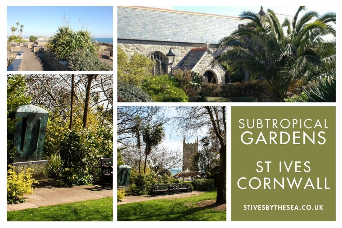 Subtropical Gardens St Ives Cornwall